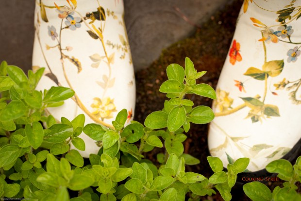 boots in the oregano-