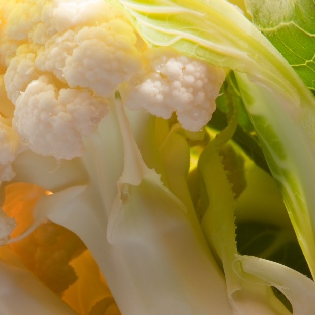 cauliflower